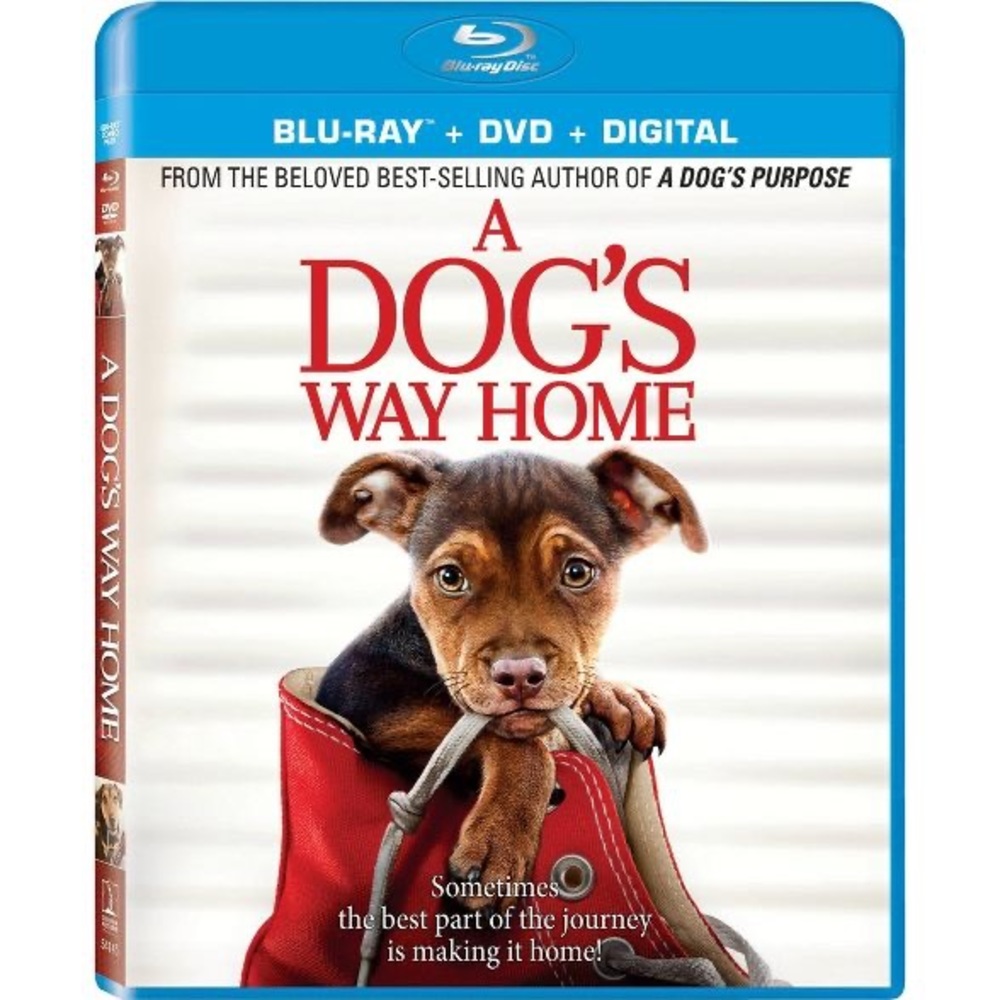 A dogs way home blu ray + dvd